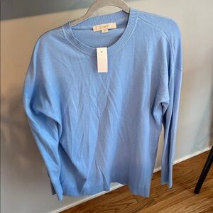 LOFT Light Sweater